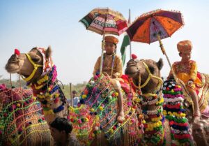 Pushkar-Camel-Fair-Pushkar-India--1200x834